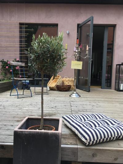 Gasthof zum grünen Baum