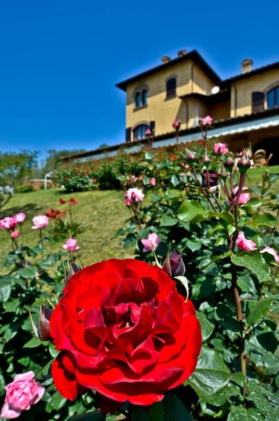 Resort Sabino