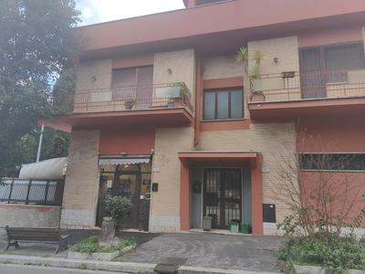 Roma amoR Vitinia