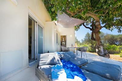 Villa Avo
