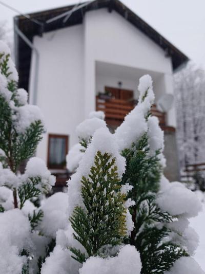 Holiday home Tilia