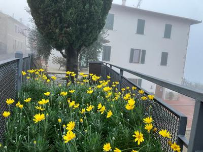 Casa Margheri