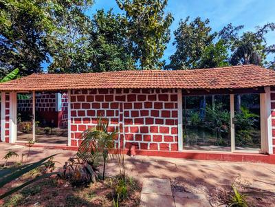Cozy Wellness Cocoons