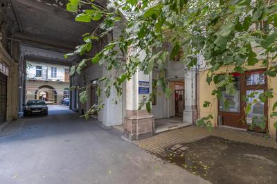 Urban Oasis Apartment