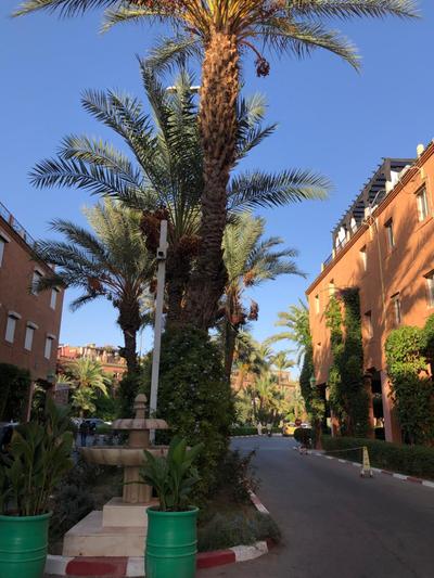 Riad Ramona lQariya seyaheya