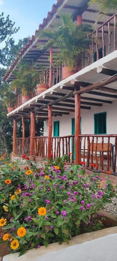 HOSPEDAJE CASA GRANDE ARBOLITO