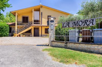 Agriturismo La Mora - Acquario