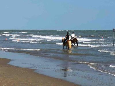 Casa Mimi al Mare