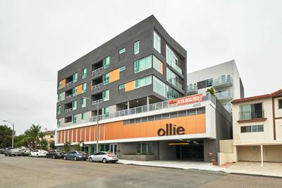 Luxury 2BD 2BA, BRAND NEW/PETS/CLOSE TO EVERYTHING/BOHO+COZY VIBES