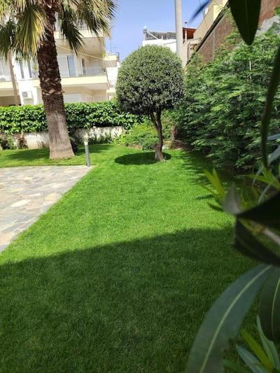 Cosy house with garden