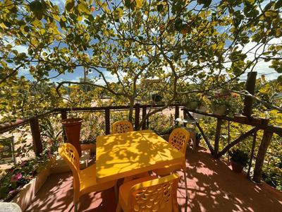 Suite Nete Andrade Ponta De Mangue