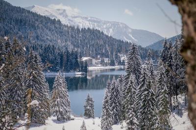 Arabella Alpenhotel am Spitzingsee, a Tribute Portfolio Hotel