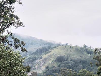 Jungle View Cottage