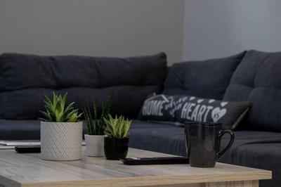 * CK Modern Loft Near Seaside *