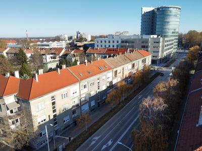 New Green Studio Apartment near Tvrđa