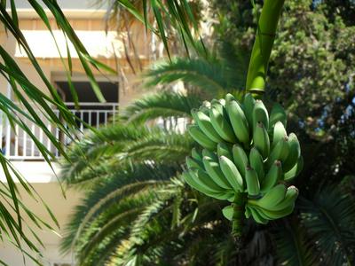 Residence Veles Plage