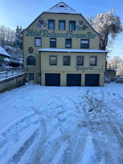 Brauner Bär mit tollen Ausblick