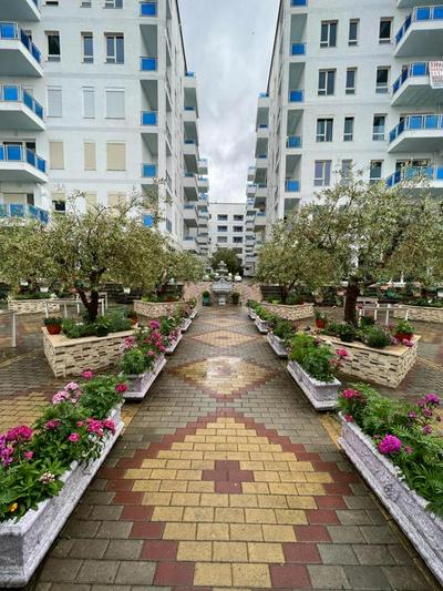 Tushemisht Apartment Rent 2