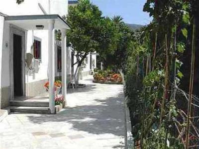 Harrys bar & apartments