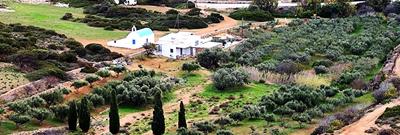 Ktima Elea Antiparos