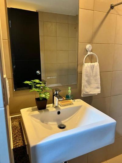 Brand New Studio w/ Washer in Manhattan Plaza Tower ll