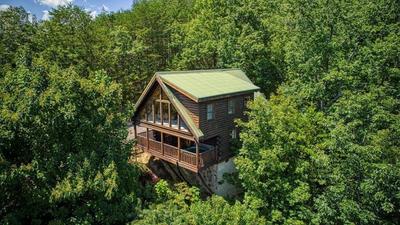 Smoky Paws - Exceptional Cabin, Stunning Mountain Views, Hot Tub, Tranquil, Gigabit Internet, Free L2 EV