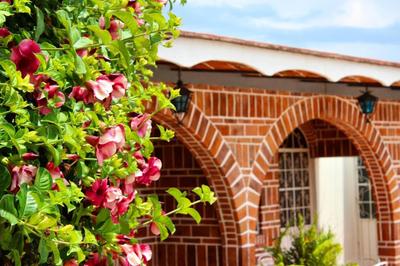 Mama Chuy Hotel & Villas Ajijic