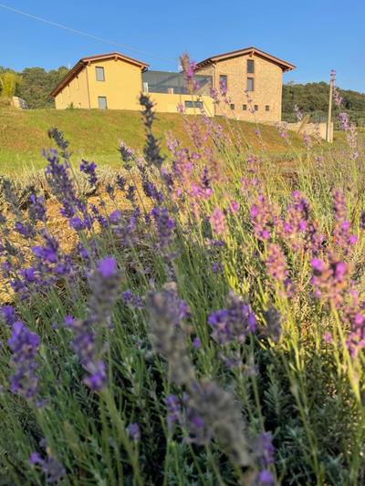 Agriturismo Al Mancino
