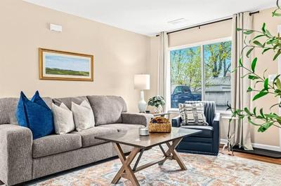 New! Pet-Friendly 1BR in the heart of Roseville!