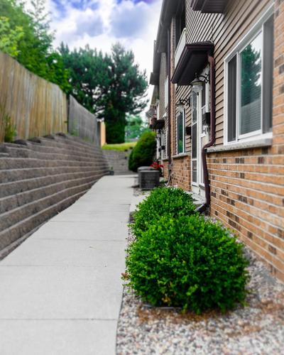 Beach Lake Michigan King Bed Pet Friendly