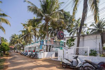 Crystall Goa Turquoise Edition