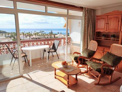 Tenerife Flamingo