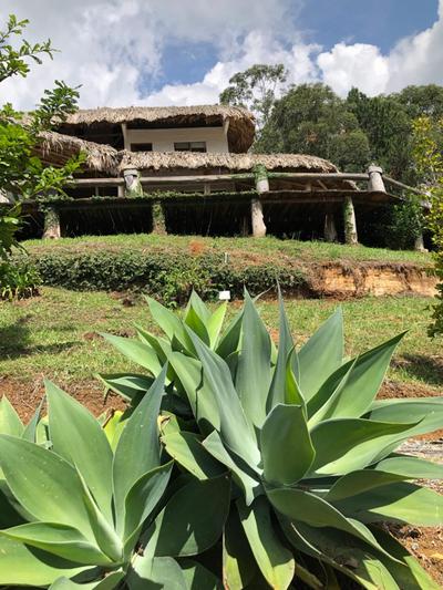 Casa TELLUS - Piedechinche