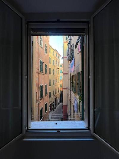Iris 3: Un Fiore a Camogli