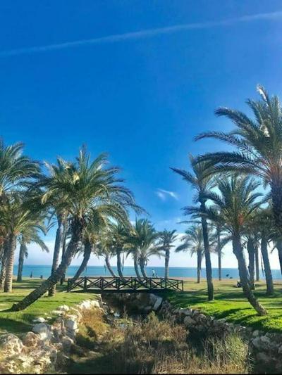 Torremolinos Los Alamos Beach Malaga VUTMA63286