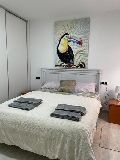 Habitación Sol Connect