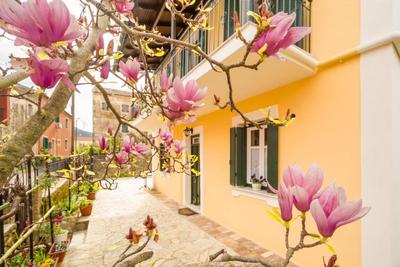 Ioli Traditional Corfu Residence