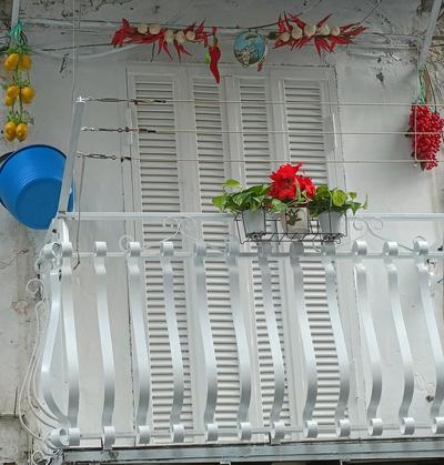 Domus Dante al balconcino
