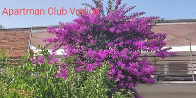 Apartman Club Vodice
