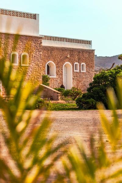 The Mogador's Oasis