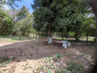 Eco-hospedaje El Cardenal