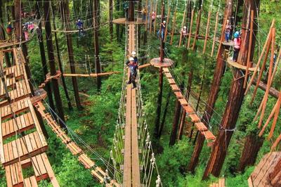 Redwood Oasis, Grove and Nook