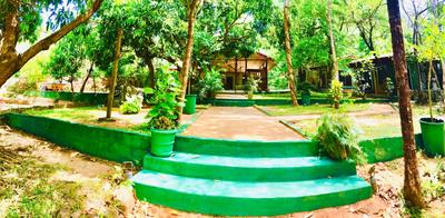 GreenSenz Resort & Hostel-Sigiriya
