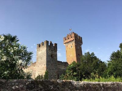 Olivenblatt 4