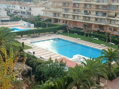 Playa Gandia-piscina-AA-WiFi, niños consultar