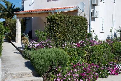 Apartment Pergul