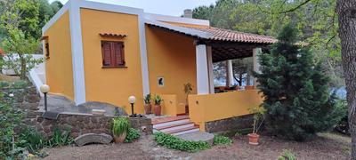 Nido del gheppio