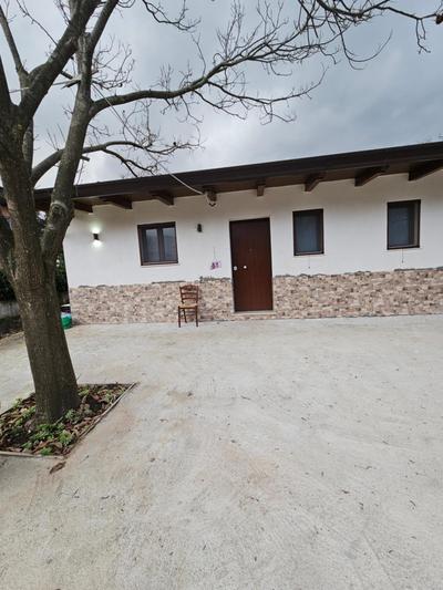 affittacamere B&B Tulipano e B&B Orchidea