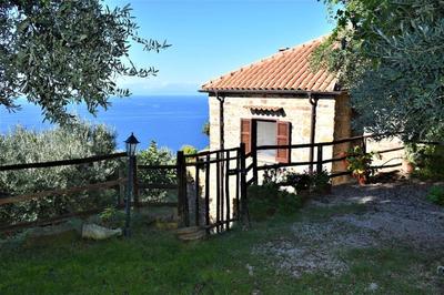 Bellezza In Cilento Panoramic Apts