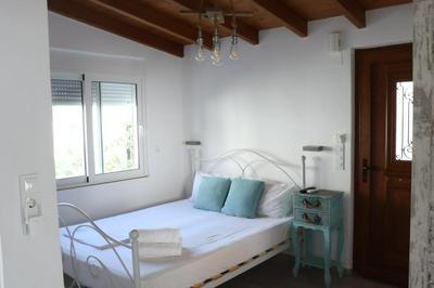 Vitis Vinifera Traditional Studio Apartment